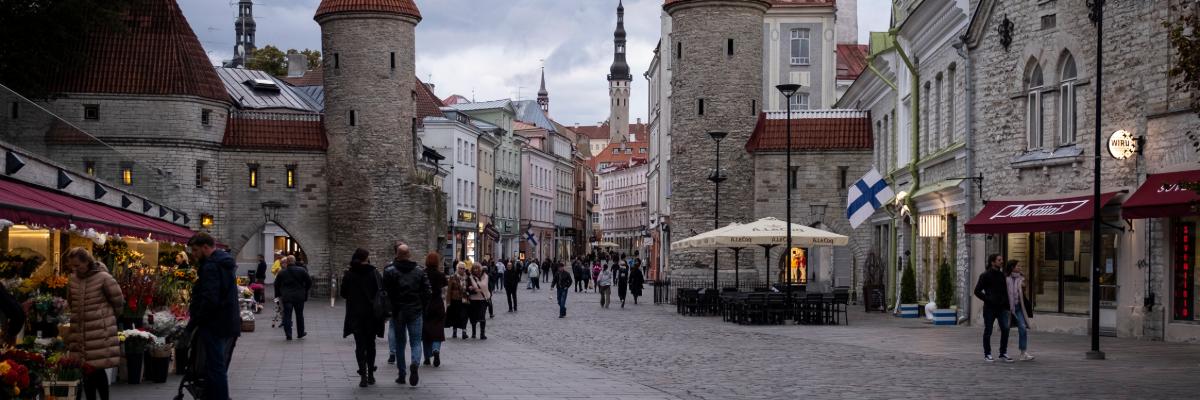 Serwis Вища освіта в Естонії, ВНЗ в Естонії, v.UK, study